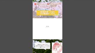【㊗️活動5周年カウントダウン企画🎊】家族的ベスト5【#歌ってみた 】【#鈴白ちょこる 】#shorts #short #cover #オリジナルmv