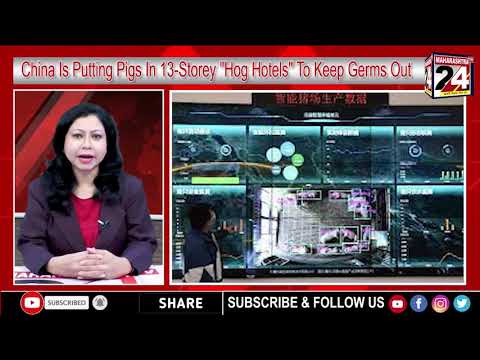 English bulletin | 2 August 2021