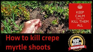 How to Kill Crepe Myrtle Shoots That Keep Coming Back