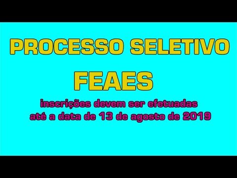 PROCESSO SELETIVO FEAES