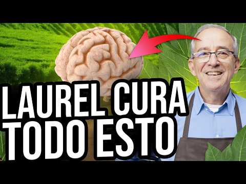 🌿 BENEFICIOS DE CONSUMIR LAUREL - Oswaldo Restrepo RSC