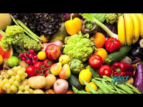 Daily Renewal: Dr. Horinouchi, Part 1