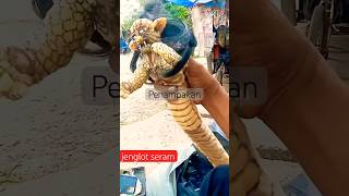 Download lagu Penampakan viral Jenglot seram dipegang seseorang pemuda #shorts #viral mp3