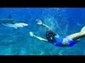 SWiMMiNG WiTH SHARKS!! LiLEE'S BiRTHDAY WISH *GONE WRONG?*🦈😱