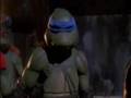 300 Turtles