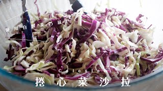 The Best Coleslaw  with Homemade Mayo 清爽解膩的捲心菜沙拉！使用自製美乃滋