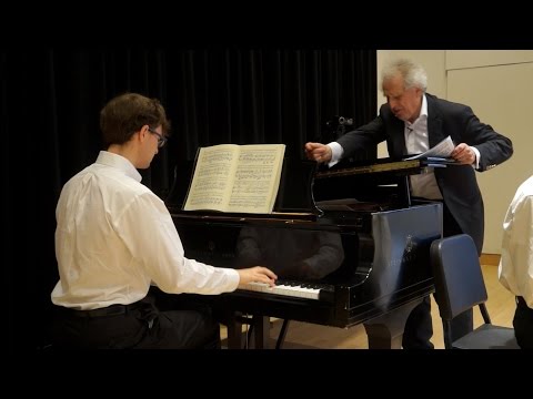 Brahms - Piano Trio no. 3 - 1st movement (Benjamin Zander - Interpretation Class)