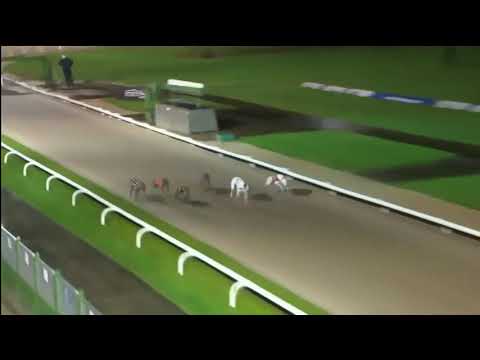 Acomb Lillian - BGBF British Breeders Stakes Semi Final 3