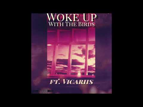 Woke up With the Birds (feat. Vicariis)