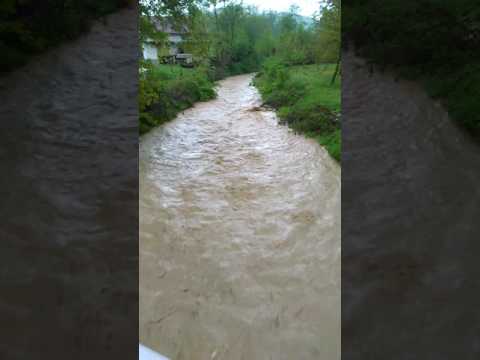 Pohoi la Negrilesti BN