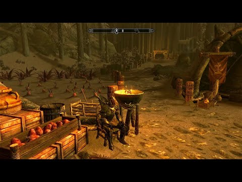 Adventures of Doctor Mew - 32 - Chatting up the locals of Raven Rock