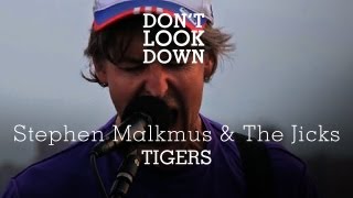 Stephen Malkmus and the Jicks - Tigers - Don&#39;t Look Down