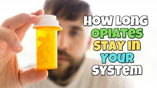 How Long Do Opiates Stay in Your System (Urine, Blood, Hair and Saliva) 24/7 Helpline (561) 678-0917