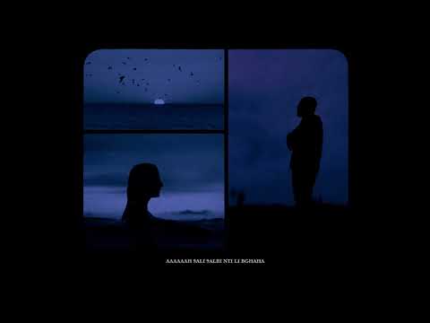 Mocci - Amore y Amore (Visualiser)