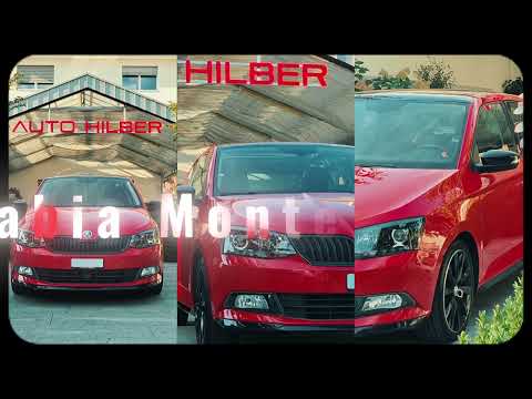 SKODA Fabia 1.0 TSI Monte Carlo *Carplay, Rückfahrkamera*-video-18