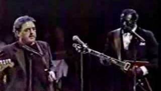 Steve Ray Vaughan - The Sky is Crying ( Albert and BB King)