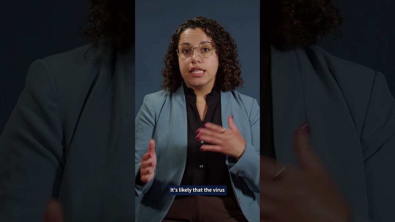 Video Thumbnail for <span>The United States Ebola Response Is Falling Behind</span>
