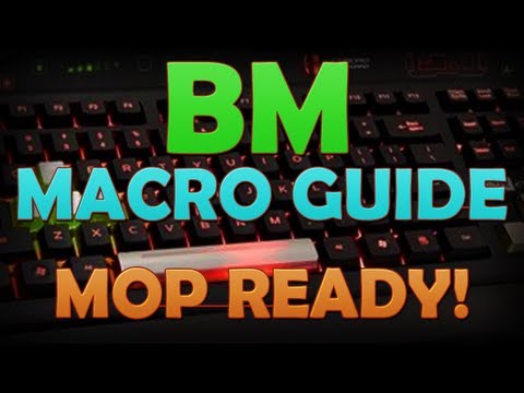 Zumio - In-Depth BM PvP Macro Guide (MoP Version)