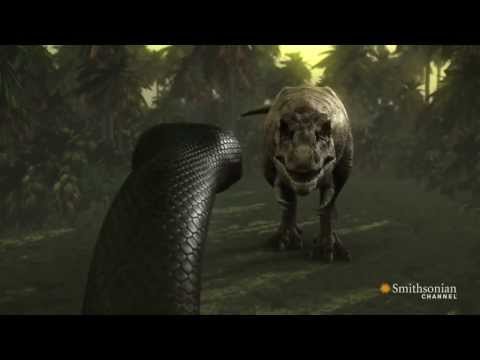 Tyrannosaurus Rex vs Titanoboa - Full Fight [Epic Battle, HD]