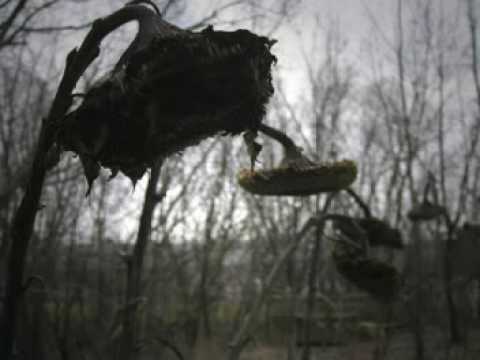 Van Noise (aka Van Noizz) - Face The Death