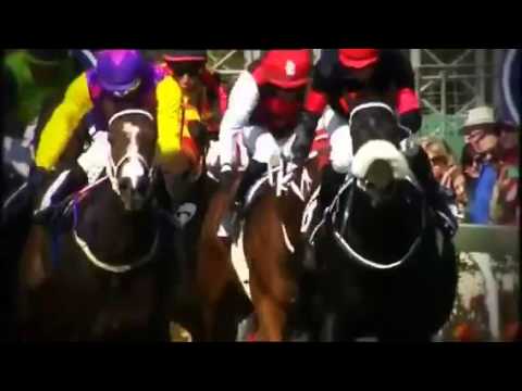 The Computaform Sprint brought to you by World Sports Betting