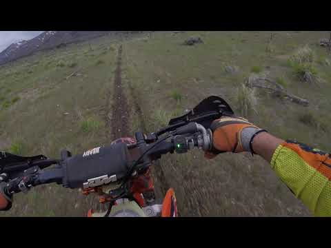 MRAN Coyotes M/C start 2019