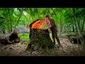 Building A Secret Log Cabin Underground Warm Dugout Log Cabin Bushcraft Survival