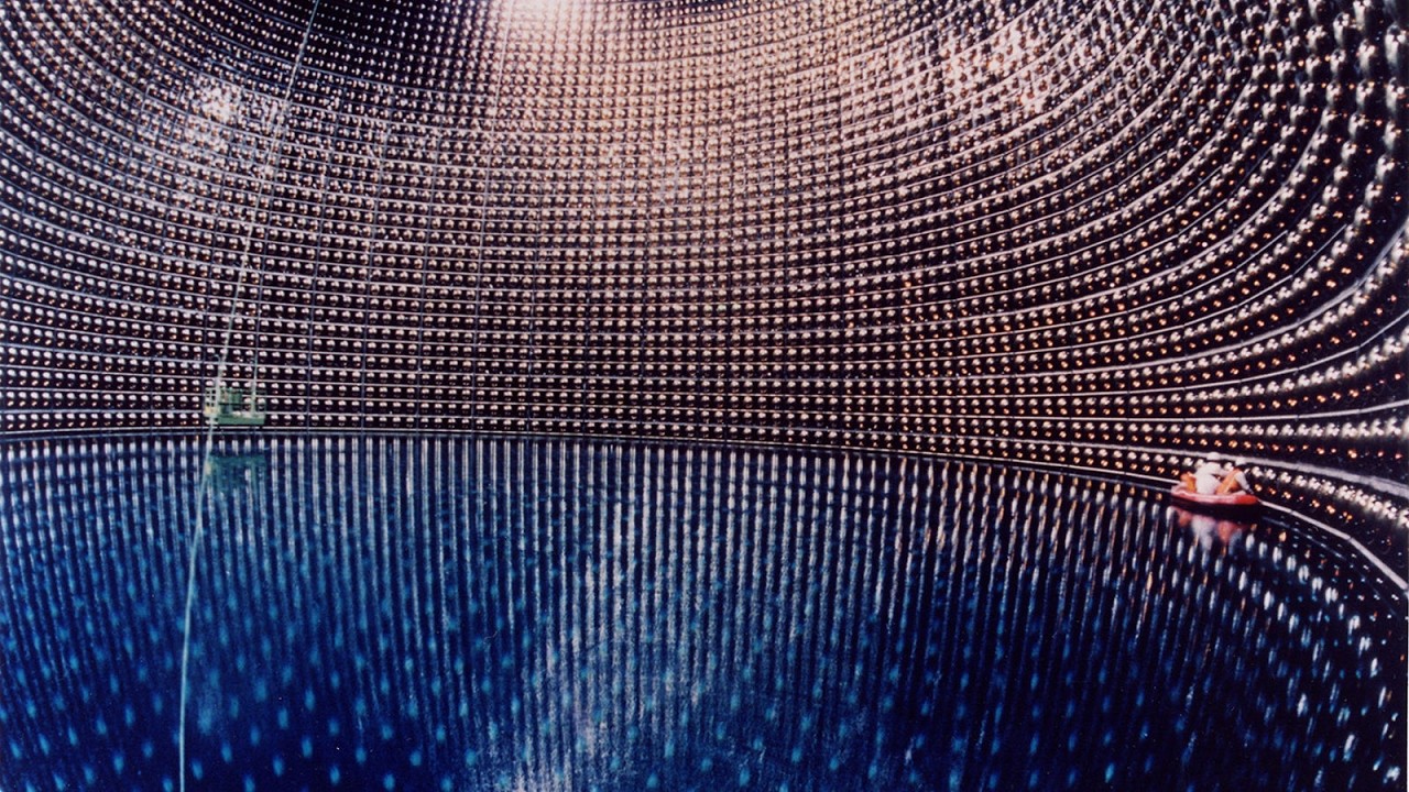 Observing the Standard Model in Action (Particle Detector Experiments)