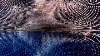 Observing the Standard Model in Action (Particle Detector Experiments)