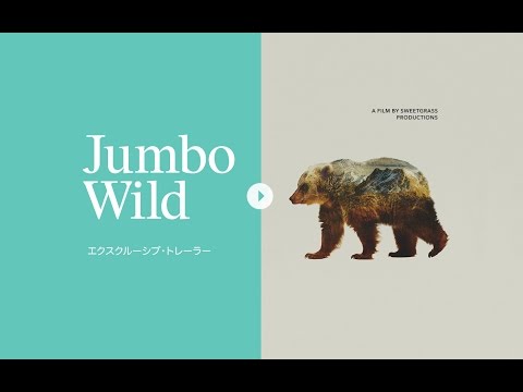 IUCN分類における絶滅の危険性を示す図。