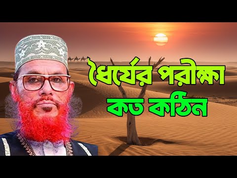 ধৈর্যের পরীক্ষা কত কঠিন | Allama Delwar Hossain Saidi | bangla waz