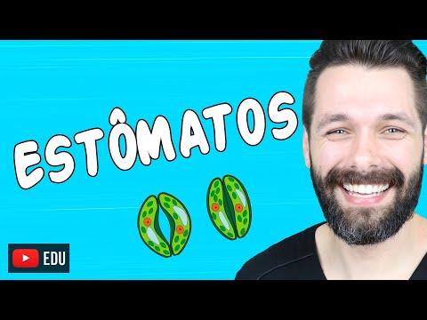 Thumbnail da aula: Estômatos: Estrutura, Funções e Regulação