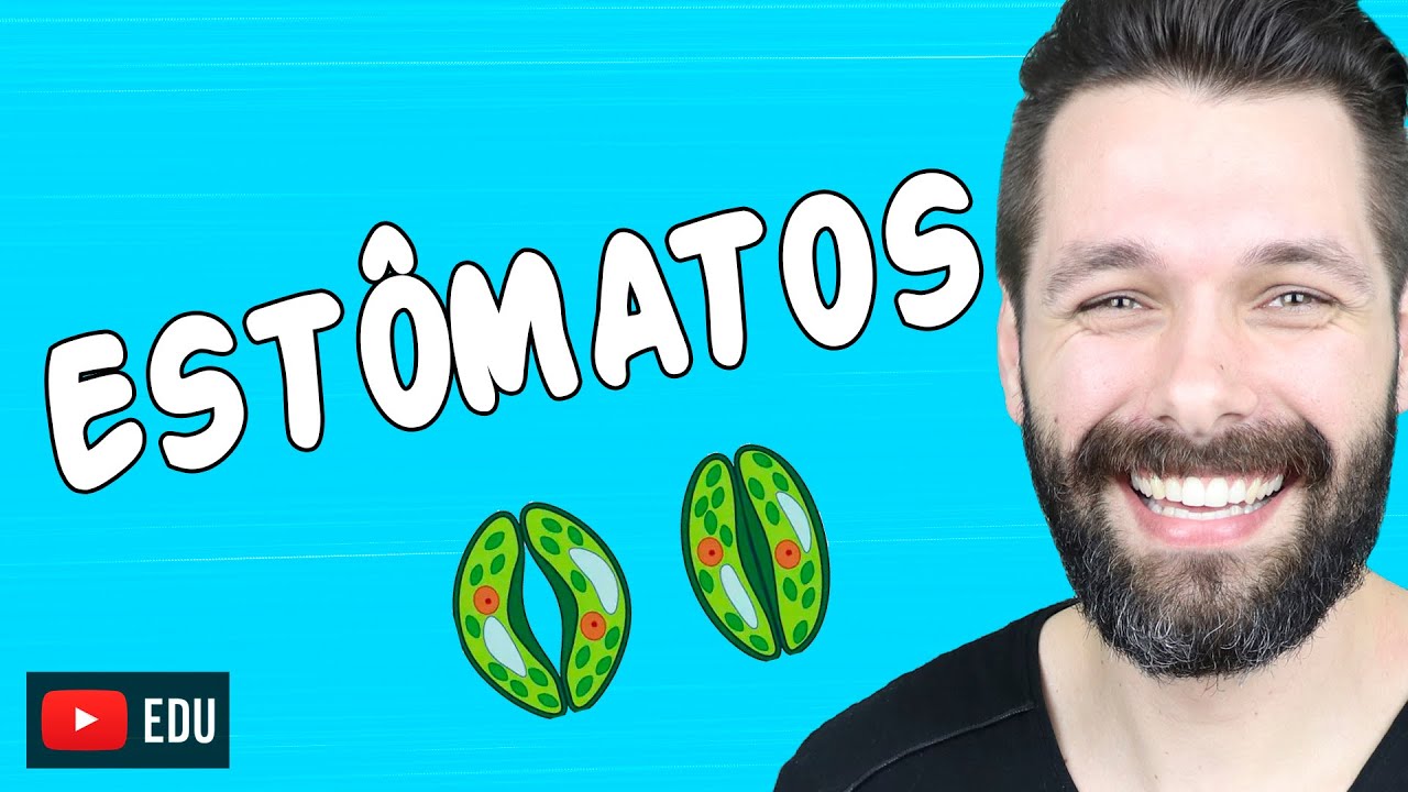 ESTÔMATOS - ESTRUTURA E FUNÇÃO -  FISIOLOGIA VEGETAL | Biologia com Samuel Cunha