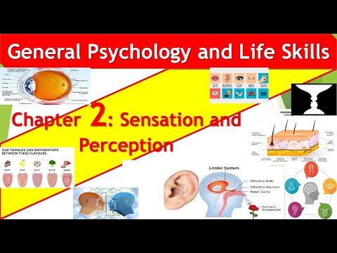 General Psychology Chapter 2 Sensation and Perception