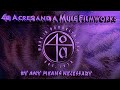 40 Acres A Mule Filmworks New Line Cinema 2000 Logo