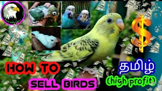 how to sell your pets 🤩easily🤩 | 🤑high income🤑| tamil | more about pets | MAP |
