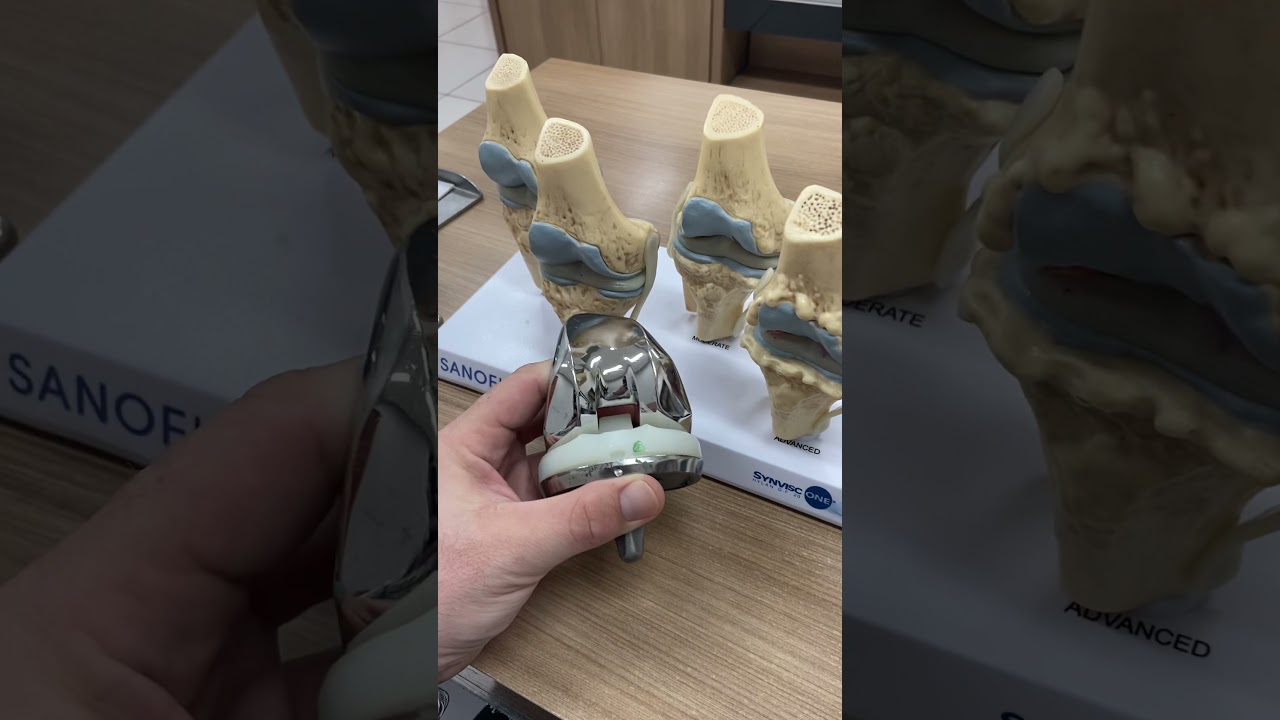 João Protásio Netto-7