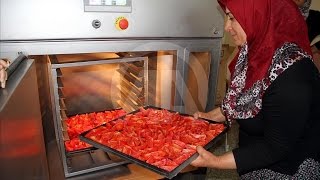 tepsili kurutma makinesi ile örnek proje-  domate