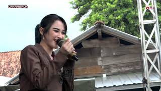 Download lagu ARLIDA PUTRI  [ PINGAL ] CAKRAWALA JANDHUT // NUGROHO AUDIO TERBARU mp3