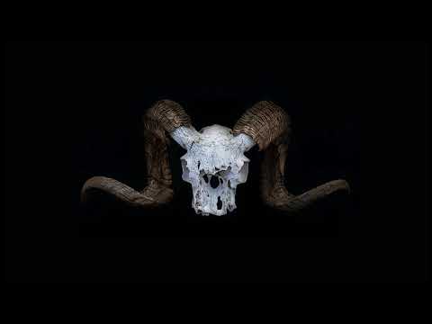 SKRILLEX X VIRTUAL RIOT X ZOMBOY [ALEG66 MIX]