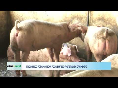 Nuevo frigorífico porcino Incka Food ya empezó a operar