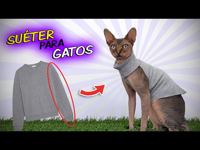 Vídeo relacionado con Señor de los gatos Ropa exclusiva y divertida Sudadera con Capucha