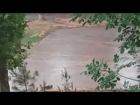 Ураган с ливнем. Чирчик. Июнь 2018 (2)