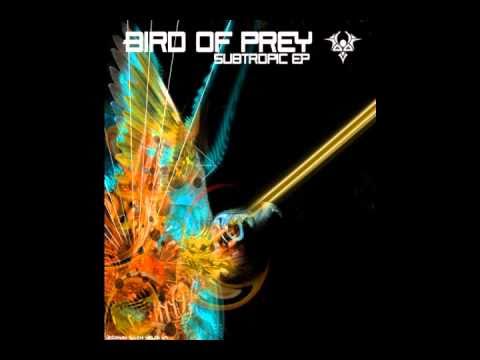 Bird Of Prey vs Random - Friendly Fire