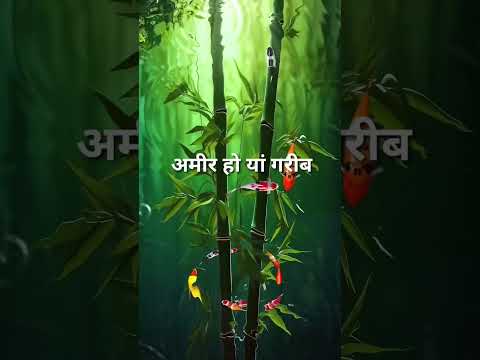 घमंड किस बात का करें आज मिट्टी true line status / sad shayari status / sad status / #shorts