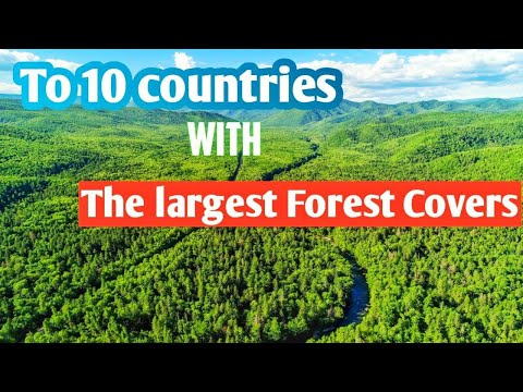Top 10 countries with the largest forest covers | largest forest in the world