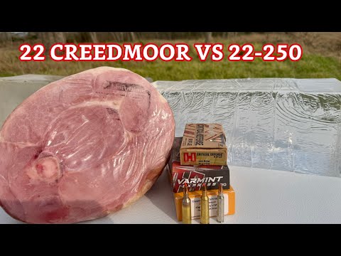 22-250 vs 22 Creedmoor Ballistic Gel And Meat Test: Modern Power vs Classic Precision