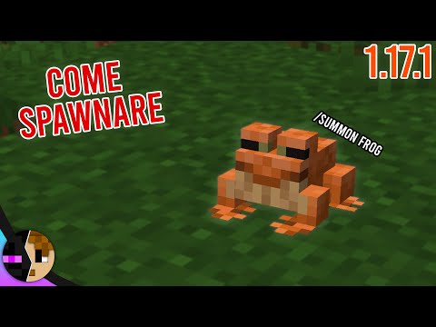 COME SPAWNARE LE RANE IN MINECRAFT 1.17.1 SENZA MOD