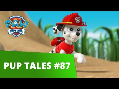 PAW Patrol - Pups Save Tiny Marshall - Rescue Episode - PAW Patrol Official & Friends!