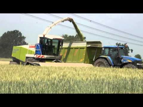 DOMINONI MPD 610 CLAAS 900 TRITICALE